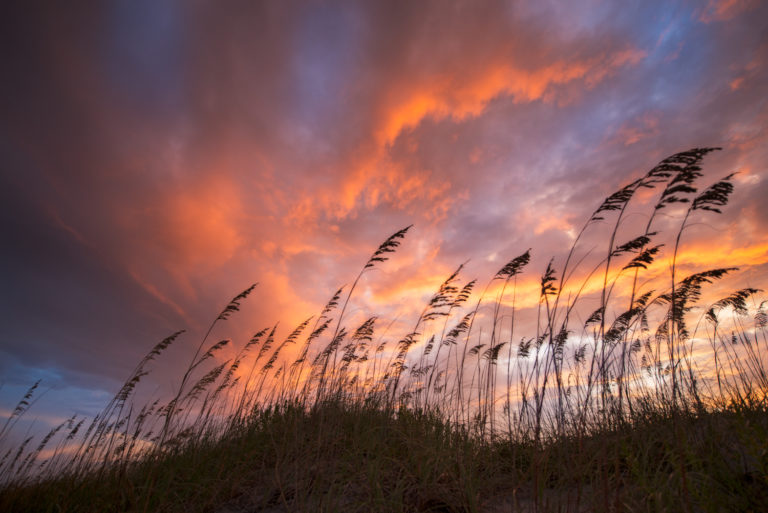 Fire Oats | Ned Leary Photography